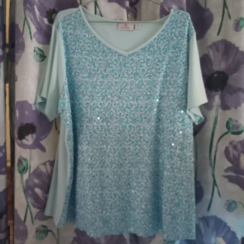 Quacker Factory Plus 2x Blue Sequined Top 22/24W